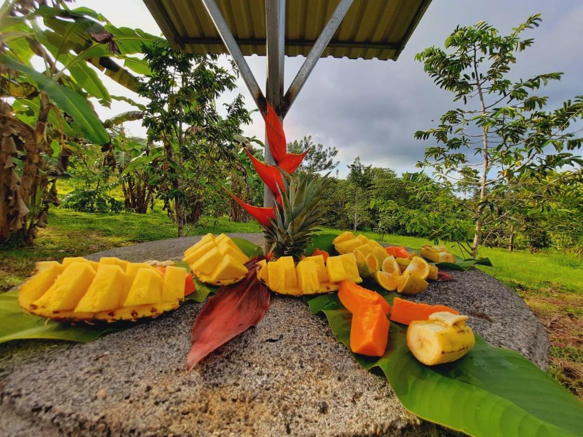 Cabanas Montanas Del Tenorio Rio Celeste Екстериор снимка