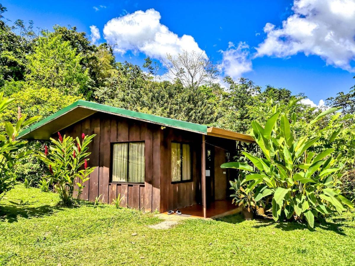 Cabanas Montanas Del Tenorio Rio Celeste Екстериор снимка