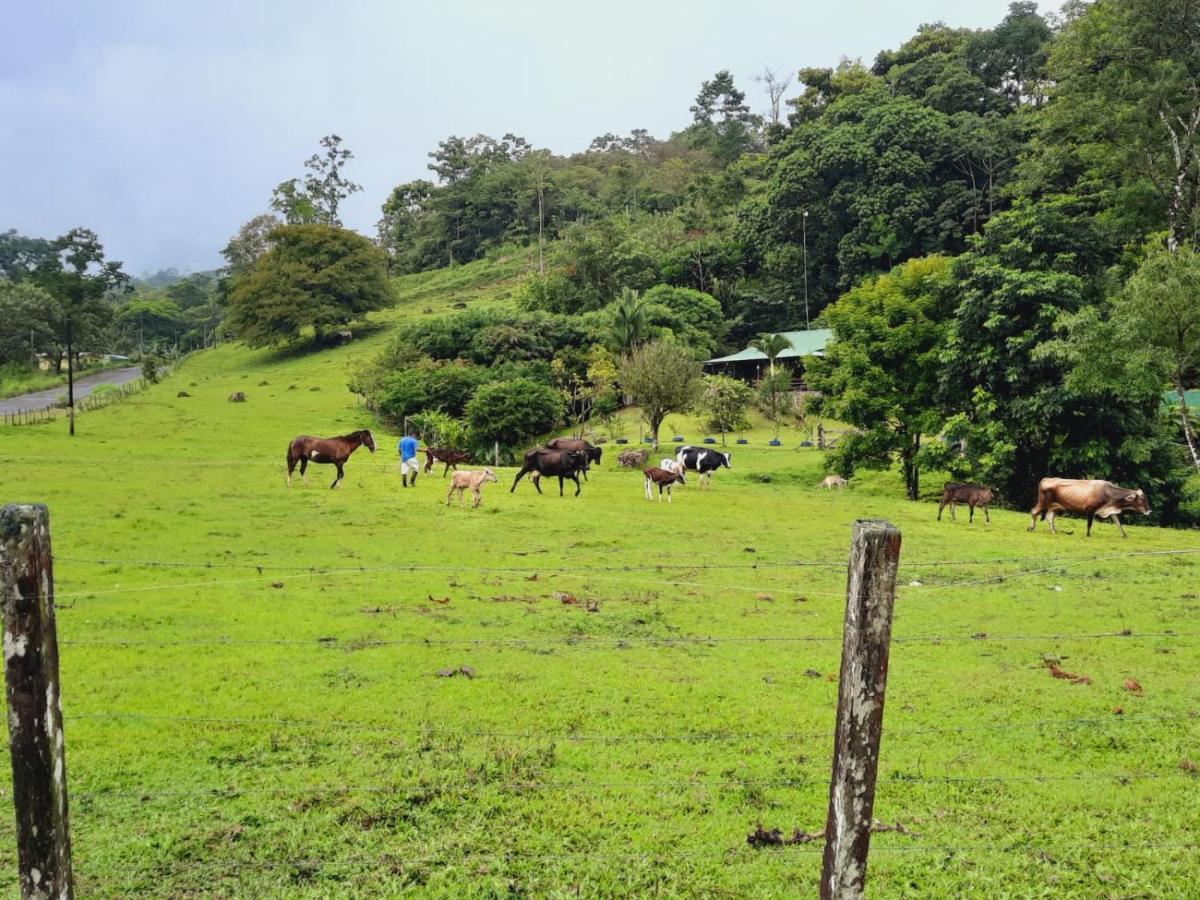 Cabanas Montanas Del Tenorio Rio Celeste Екстериор снимка